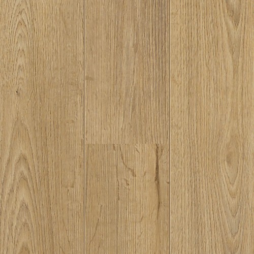 SARATOGA OAK